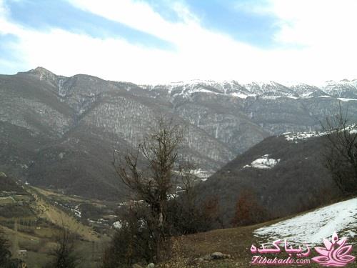 .:آلبوم عکسهای خودگرفته ما:.