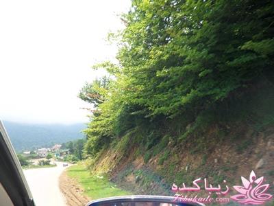 .:آلبوم عکسهای خودگرفته ما:.