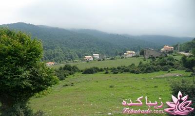 .:آلبوم عکسهای خودگرفته ما:.