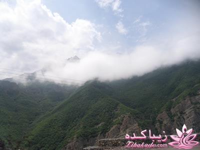 .:آلبوم عکسهای خودگرفته ما:.