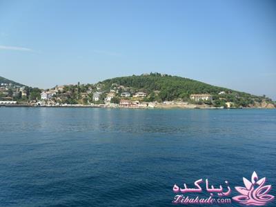 .:آلبوم عکسهای خودگرفته ما:.