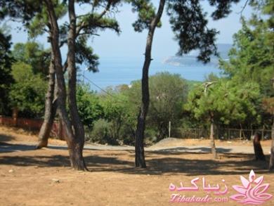 .:آلبوم عکسهای خودگرفته ما:.