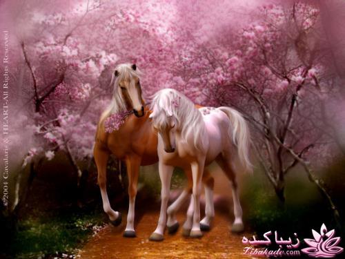 اگرهای ممنوعه در زندگی مشترک زناشویی