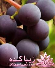 رنگ مو، آموزش ترکیب رنگ مو