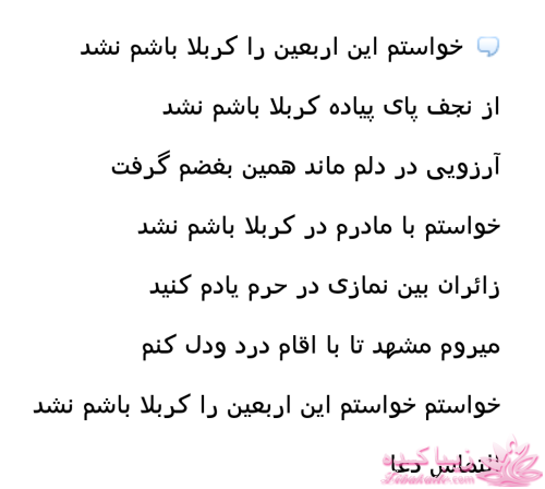 کاش اربعین کربلا بودم