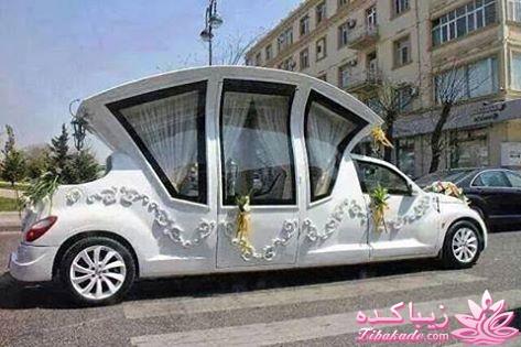 قاطی پاطی..........تاتی تاتی