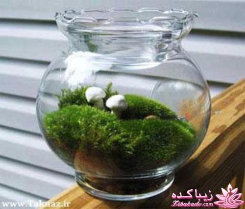 سبزه عید را خودتان سبز کنید !