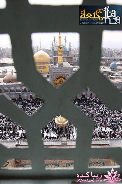 امــــام פֿـوبے ها میلادتان مبـــــارک 