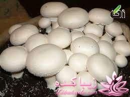 من و آشپزی