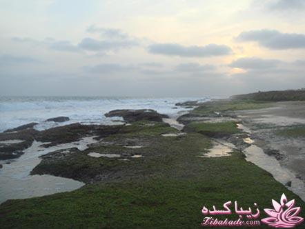 مسابقه عکاسی زیباکده ای مورد حمایت فروشگاه پانوراما**ویژه دریافت عکس**