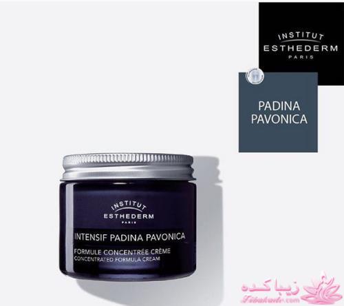 معرفی لوازم آرایش خوب