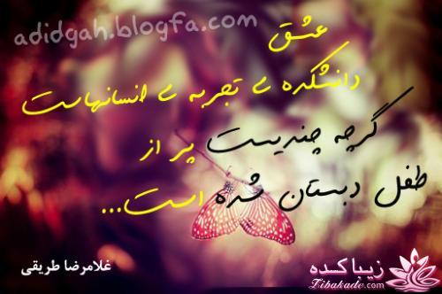 جملات ناب.............................نکات شیرین