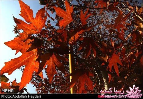 یک شهر با زیبا ترین پاییززز