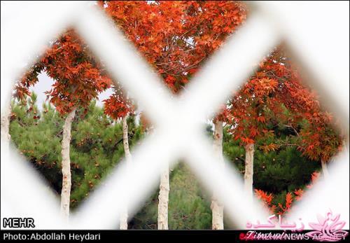 یک شهر با زیبا ترین پاییززز