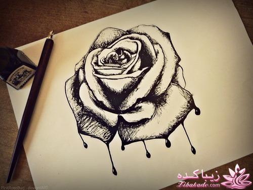 طراحی و نقاشی های زیبا