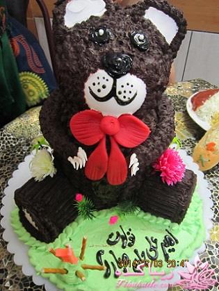 علی،جان پدر، به زندگی خوش آمدی(آلبوم عکس امیرعلی جان پدر ومادر)