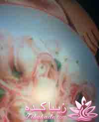 آشپزی با ماهی 