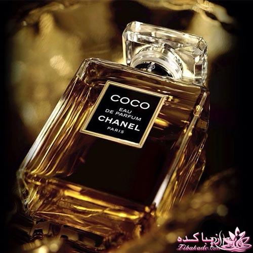 معرفی بهترین عطر و ادکلن ها