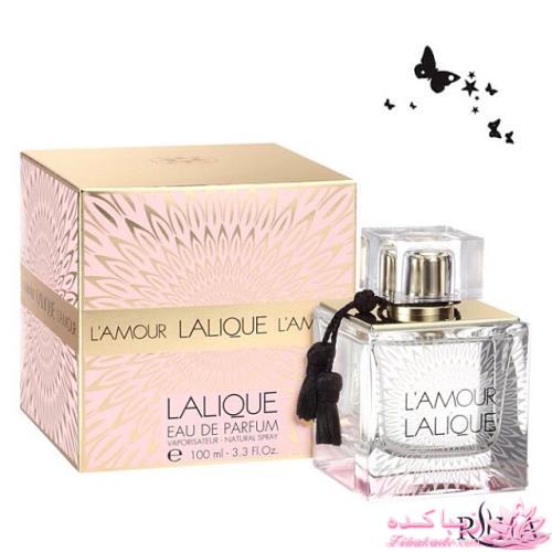 معرفی بهترین عطر و ادکلن ها