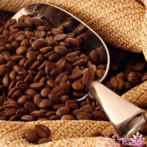 معرفی بهترین عطر و ادکلن ها