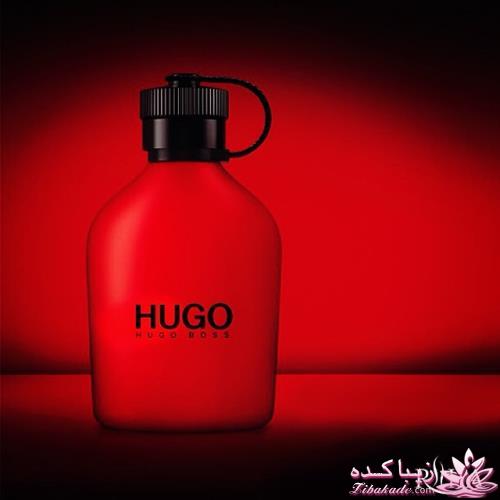 معرفی بهترین عطر و ادکلن ها