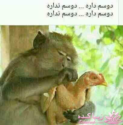 ☼ عکــــس نوشته ☼