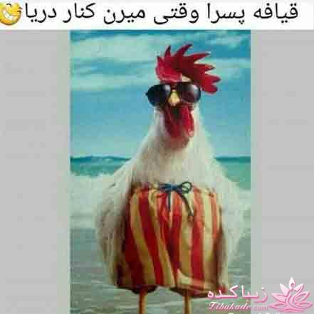 اینـــــا (خانم ها) وووووووو اونـــــــا (آقایون) ------"شوخی و خنده"