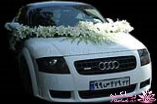 خاص ترین ماشین های تهران 