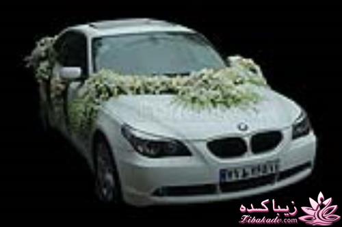 خاص ترین ماشین های تهران 