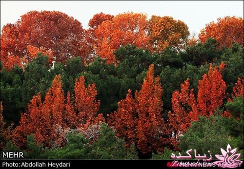 یک شهر با زیبا ترین پاییززز