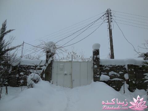 .:آلبوم عکسهای خودگرفته ما:.