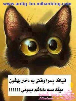 اینـــــا (خانم ها) وووووووو اونـــــــا (آقایون) ------"شوخی و خنده"