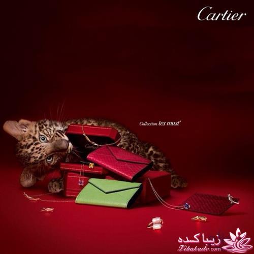 معرفی بهترین عطر و ادکلن ها