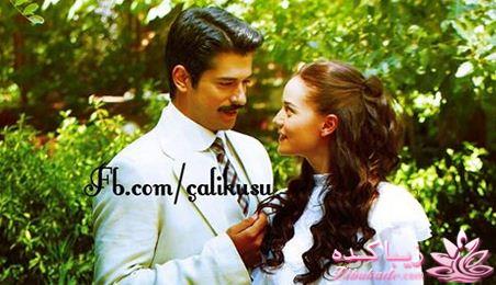 سریال چکاوک  Çalıkuşu