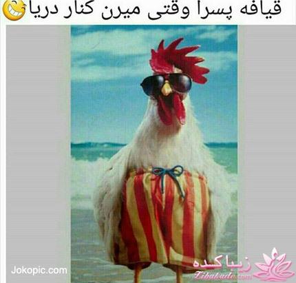 اینـــــا (خانم ها) وووووووو اونـــــــا (آقایون) ------"شوخی و خنده"