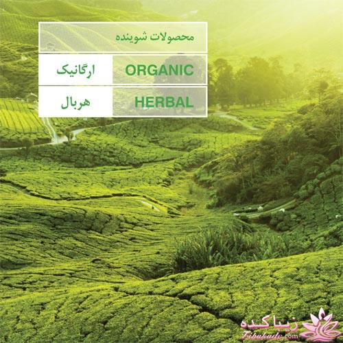 محصولات تخصصی پوست و مو دلون - بادی باتر - بادی میست