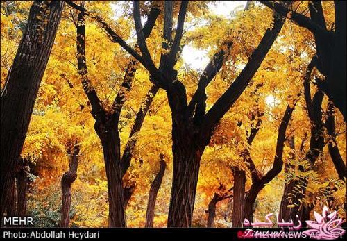 یک شهر با زیبا ترین پاییززز