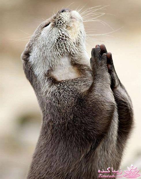 خلاقیت در عکاسی