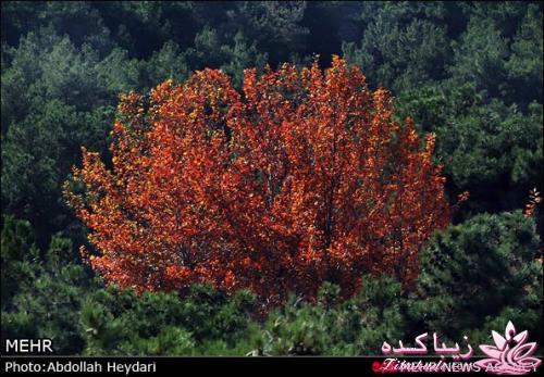 یک شهر با زیبا ترین پاییززز