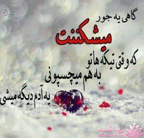 جملات ناب.............................نکات شیرین