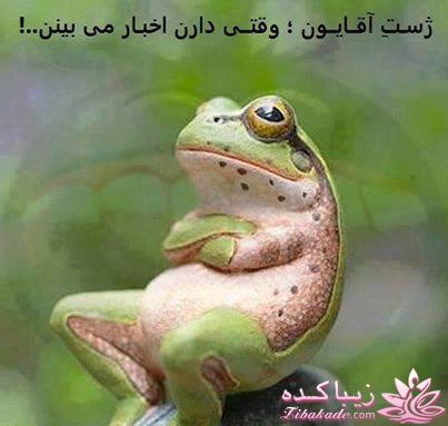 بیایید سیاستهای زنانه رو یاد بگیریم