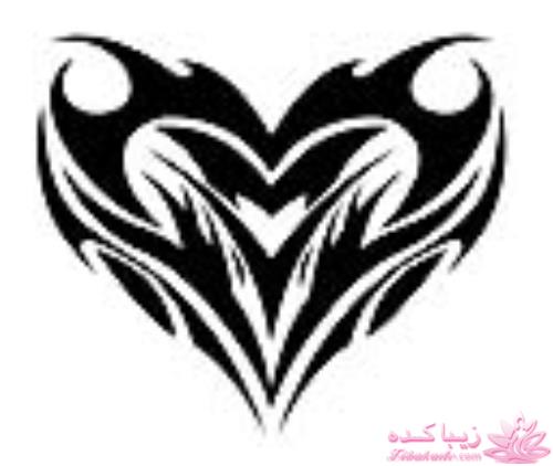 همه چیز در مورد ویترای...