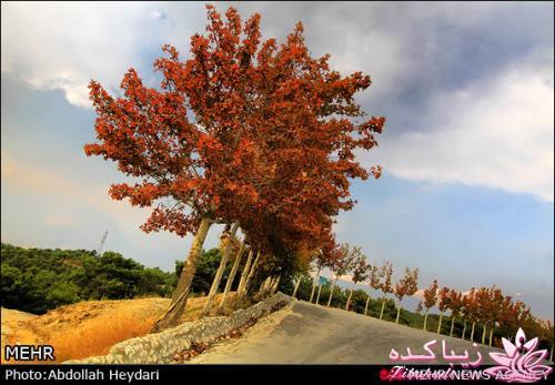 یک شهر با زیبا ترین پاییززز