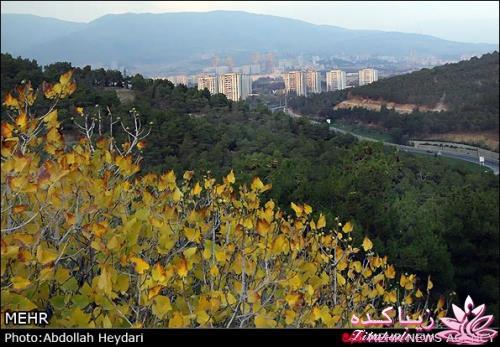 یک شهر با زیبا ترین پاییززز