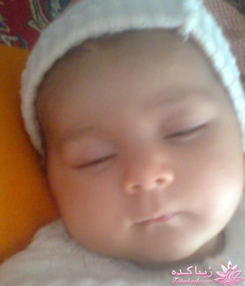 مسابقه عکاسی زیباکده ای مورد حمایت فروشگاه پانوراما**ویژه دریافت عکس**