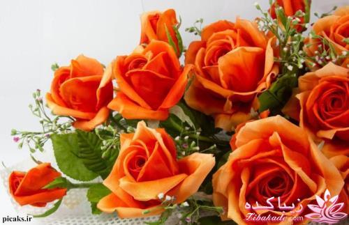 كافه گفت وگو ...