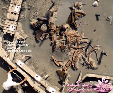 عکسهایی بسیار عجیب و غریب اما واقعی!