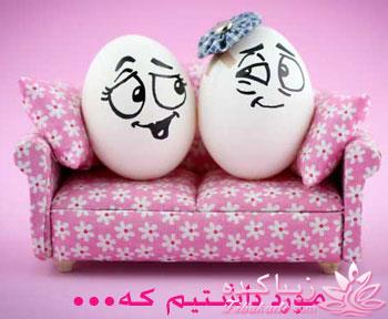 بامزه ها بیان تو