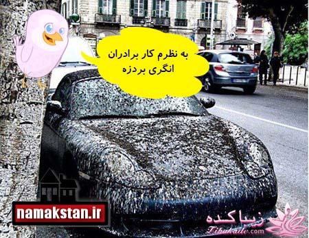 ترول هاي بانمك ..............