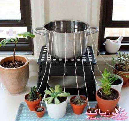 کانال زیباکده در تلگرام